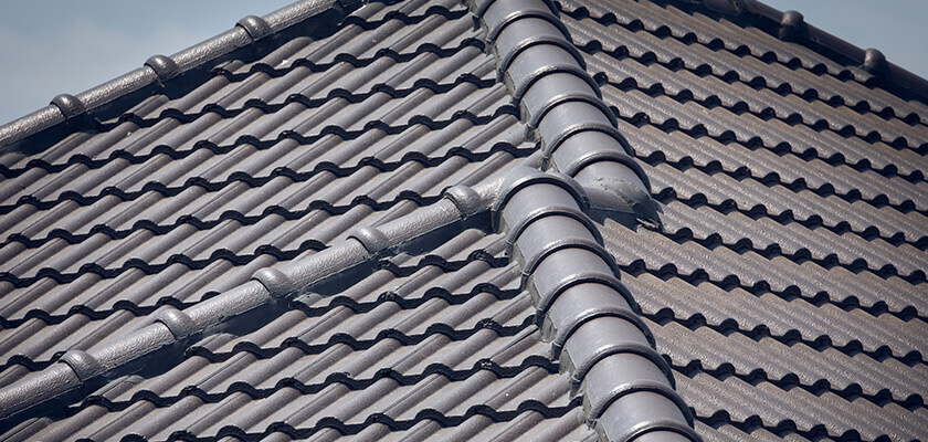 Gallery Image: Dune Coatings